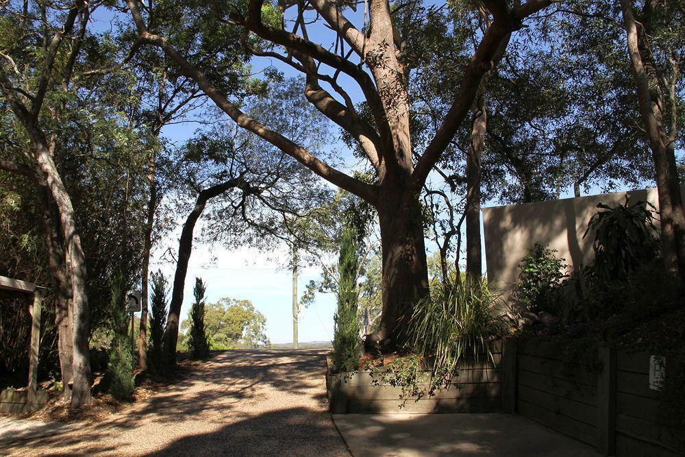Arabella Guesthouse Alexandra Headland Buitenkant foto